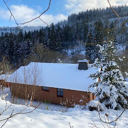 Ferienhaus Becker Willingen  Esterno foto